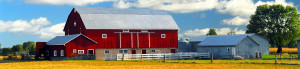 Happy Hens- A family farm providing non-soy, non-GMO chicken feed to Denver and the Front Range.