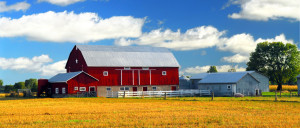 Happy Hens- A family farm providing non-soy, non-GMO chicken feed to Denver and the Front Range.